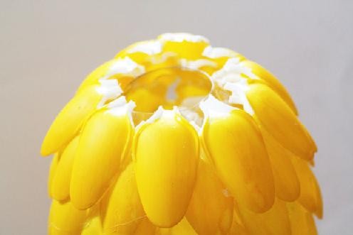 Pineapple Spoon Lamp